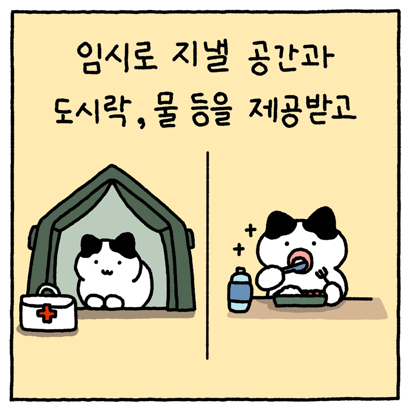 임시로 지낼 공간과 도시락, 물 등을 제공받고