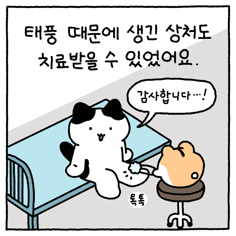 태풍 때문에 생긴 상처도 치료받을 수 있었어요. -도로시: 감사합니다...!